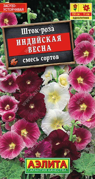 Шток роза индийская весна фото