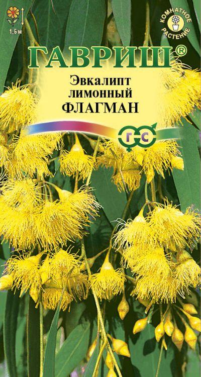 Ком: Эвкалипт Флагман /Гавриш/ 0,05г/  лимонный h-1,5м