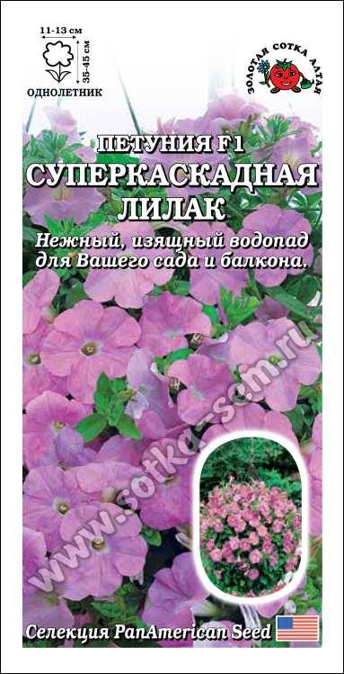 Золотая сотка алтая